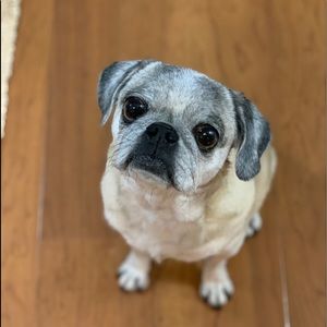 Meet your Posher, My